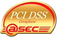 PCI DSS